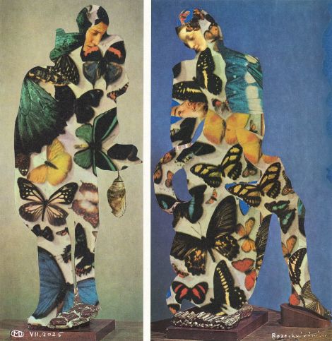 Rozechvívání...